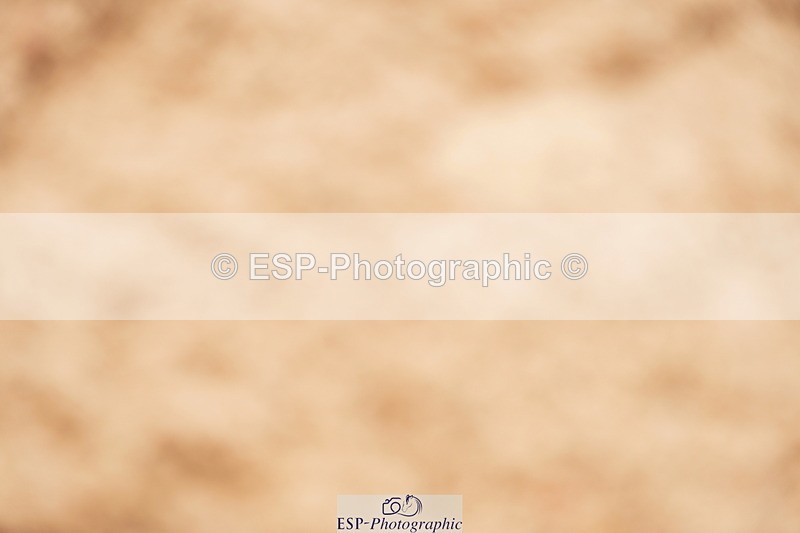 240526A-110212-07707 - Cls 26 Chard Equ 1.05m and 1.10m Grand Prix