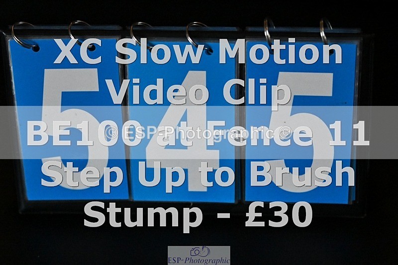 ESP_545 - 545-Caroline.Allan-POLDORY.MAKERS.MARK