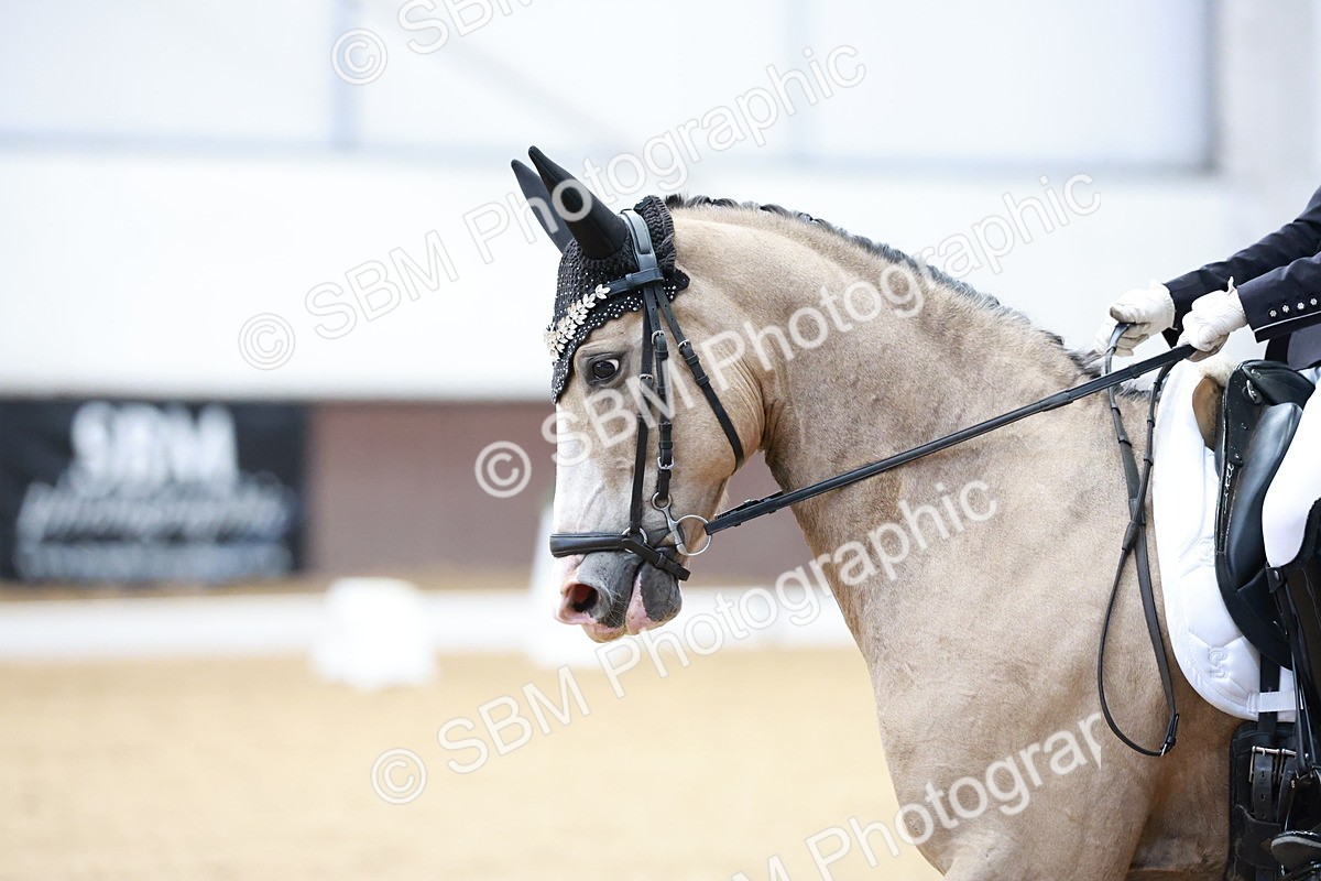 SBM_017342 - Class15 - FEI Pony