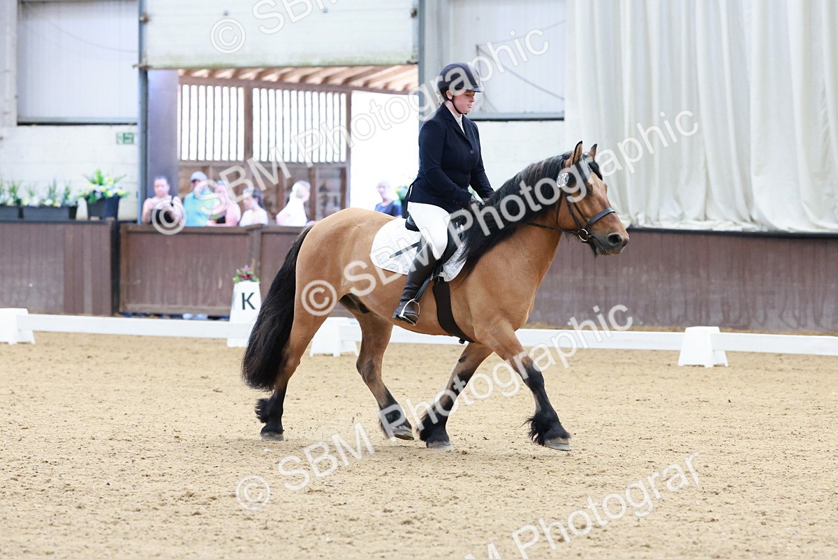 SBM_003193 - Intro 2