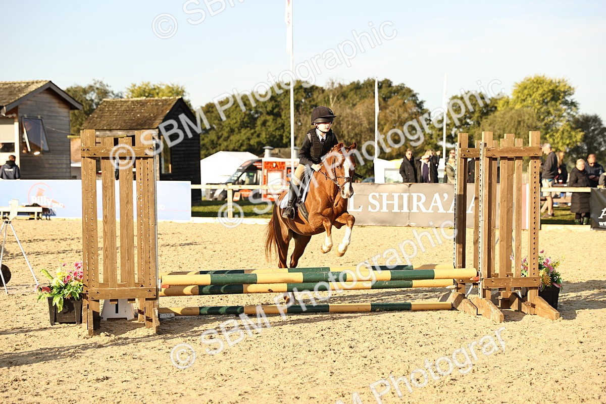 SBM_59402 - J11 - Junior Pony 50cm Championship