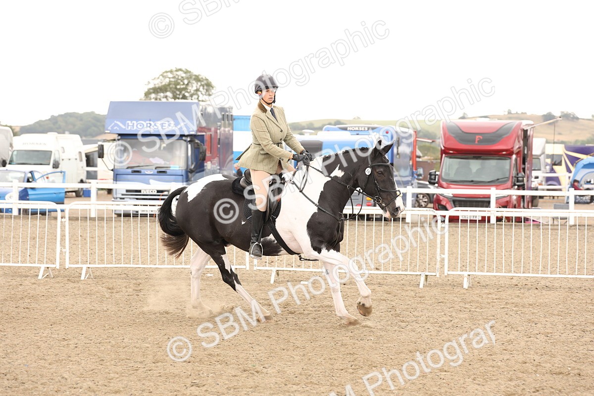 SBM_06731 - Class 58a -  Style & Performance - 70cm (15-19)