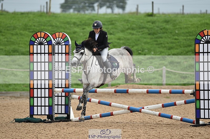 230902A-113038-00733 - Cls 2B Pony Small 80cm