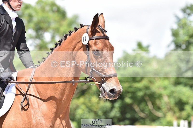 240706A-124122-02344 - Cls 3D Jnr Novice 24