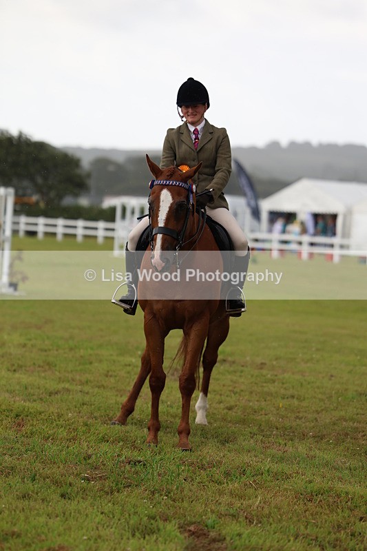 3E7A7949 - Class 1: Rising Star Small Hack/Riding Horses