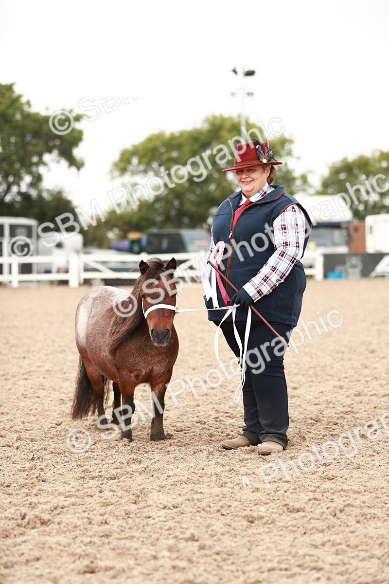 SBM_11930 - Class 206 IH Non Show Type Pony