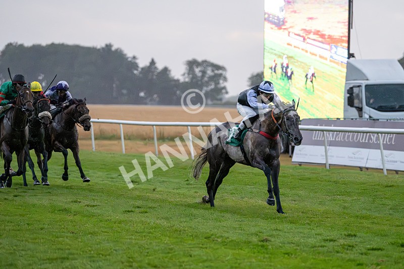 150725-Race 8-Good Karma-7667 - Race 8