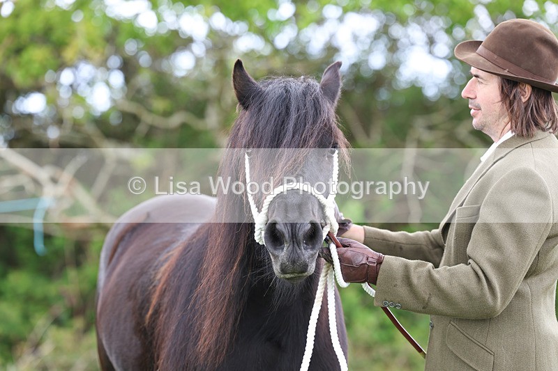 3E7A0848 - In Hand Championship