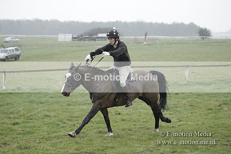 PtP 150320 0059 - New Forest Point-to-Point Larkhill 15/03/20