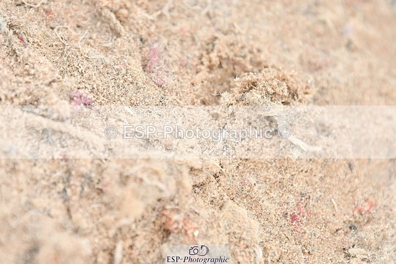 251026-140619-03270 - Cls 29-32 All 128cm 138cm Classes