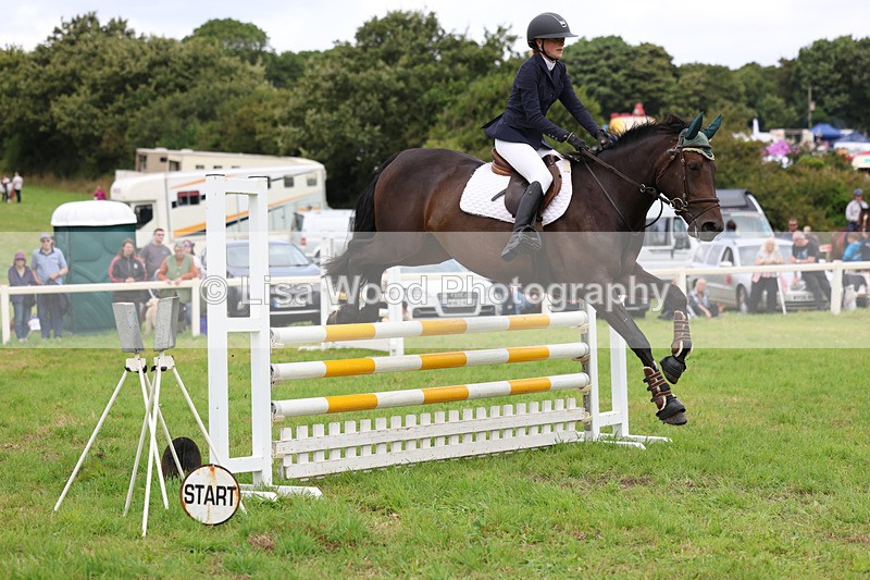 3E7A7035 - Class 5: Senior British Novice/90cm open