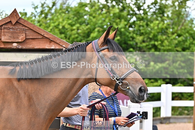 240718A-105255-01336 - Trot Up 12pm to 1pm