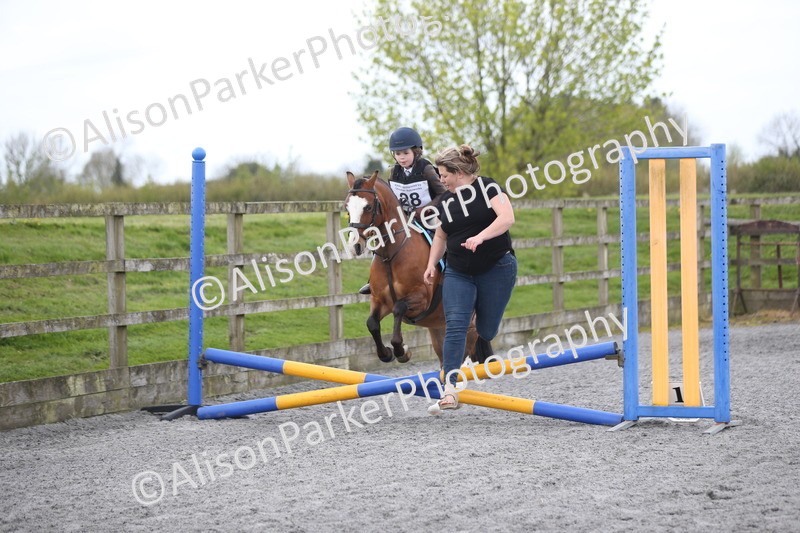 20260412-0108 - Show Jumping