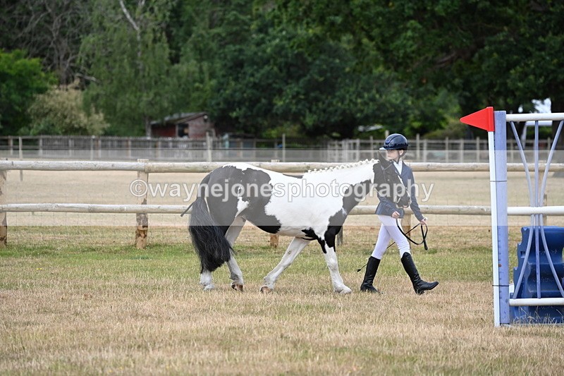 WJ6_4183 - Class 10 Coloured In-hand