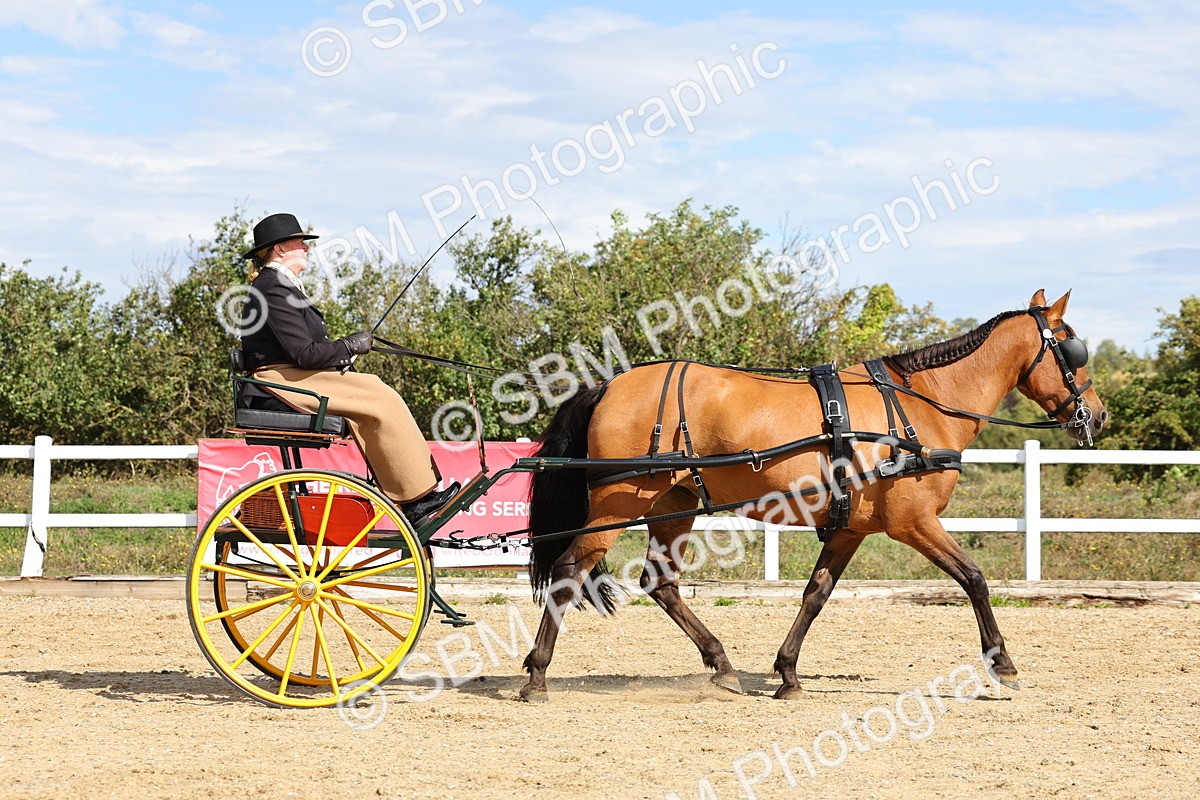SBM_000882 - Class 8 - Novice Horse or Pony to any vehicle