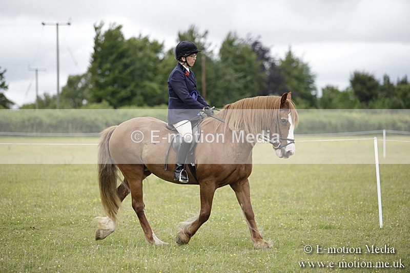 BVR160717-2104 - Ridden Championship 16/07/17