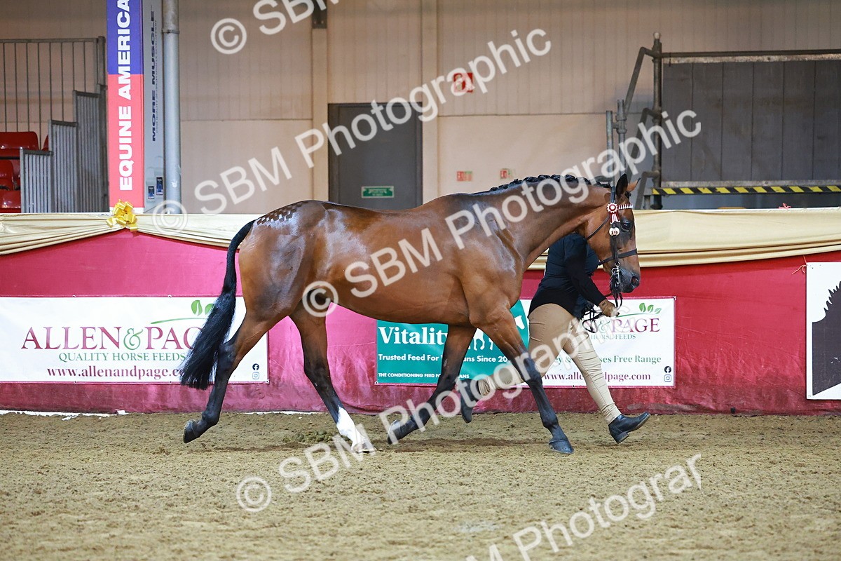 SBM_14801 - Class E - Best Turned Out Champ