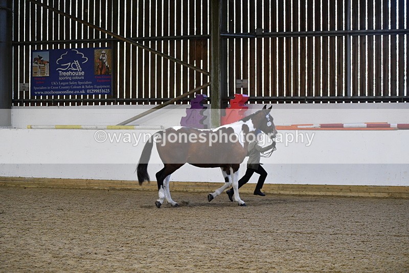 WJ5_3863 - Class 5 In Hand Veterans