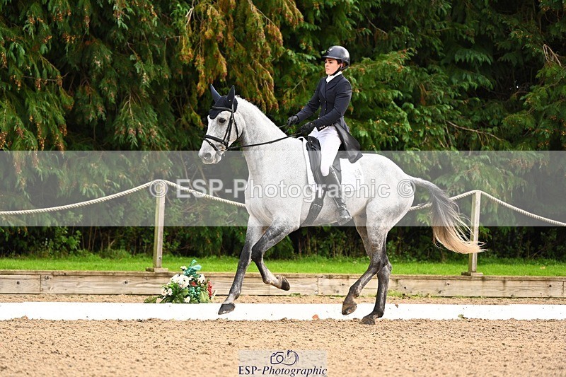 231021-135352-18581 - 248-KINGS.LANE-Liberty.Smith-DR