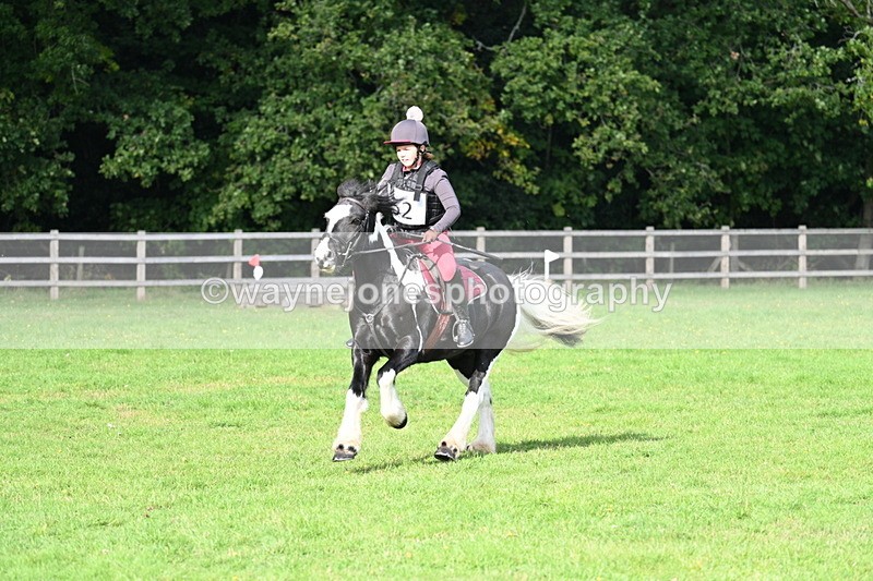 WJ7_3689 - 40cm Time 10:26 to 10:42