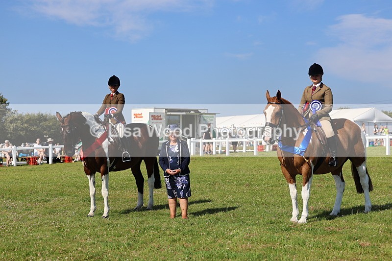 IMG_1683 - Skewbald and Piebald Ridden Championship