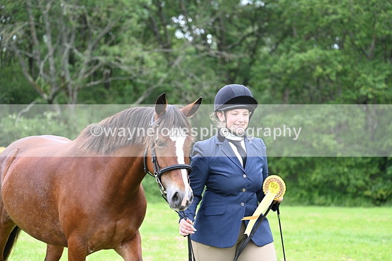 WJ7_4596 - Class 14B Prettiest Mare