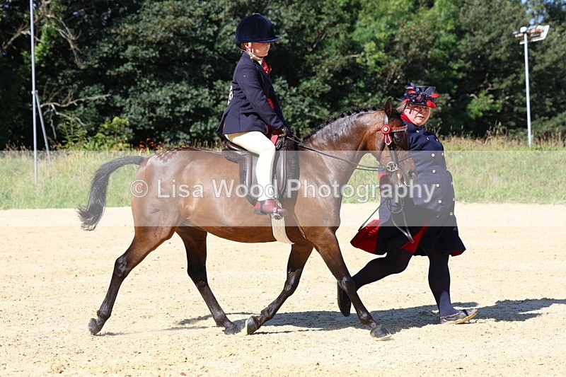 3E7A8077 - Class 15: Lead Rein