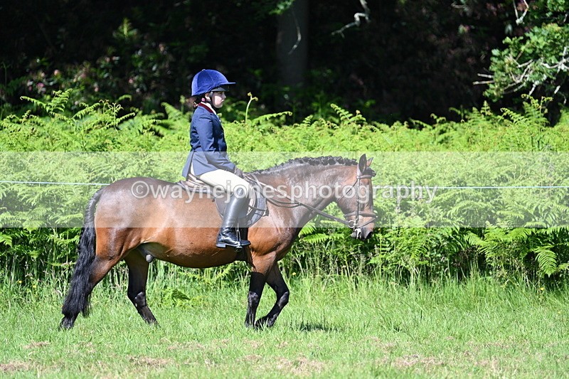 WJ7_0642 - Class 8 First Rally Pony