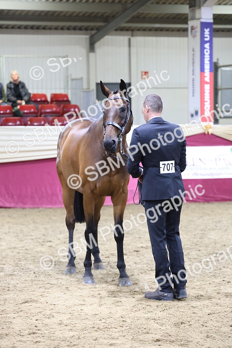 SBM_20657 - Class I - Ridden Pony Champ