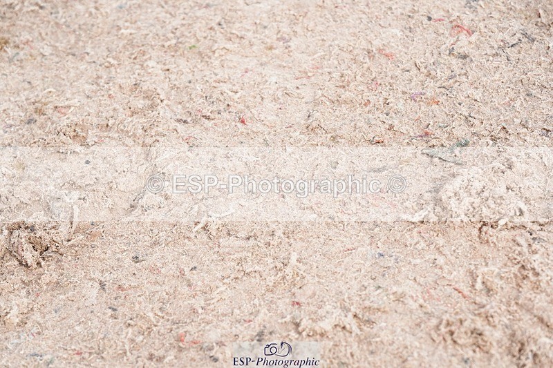 250426-102736-11864 - Cls 27 Young Horse 5yr old