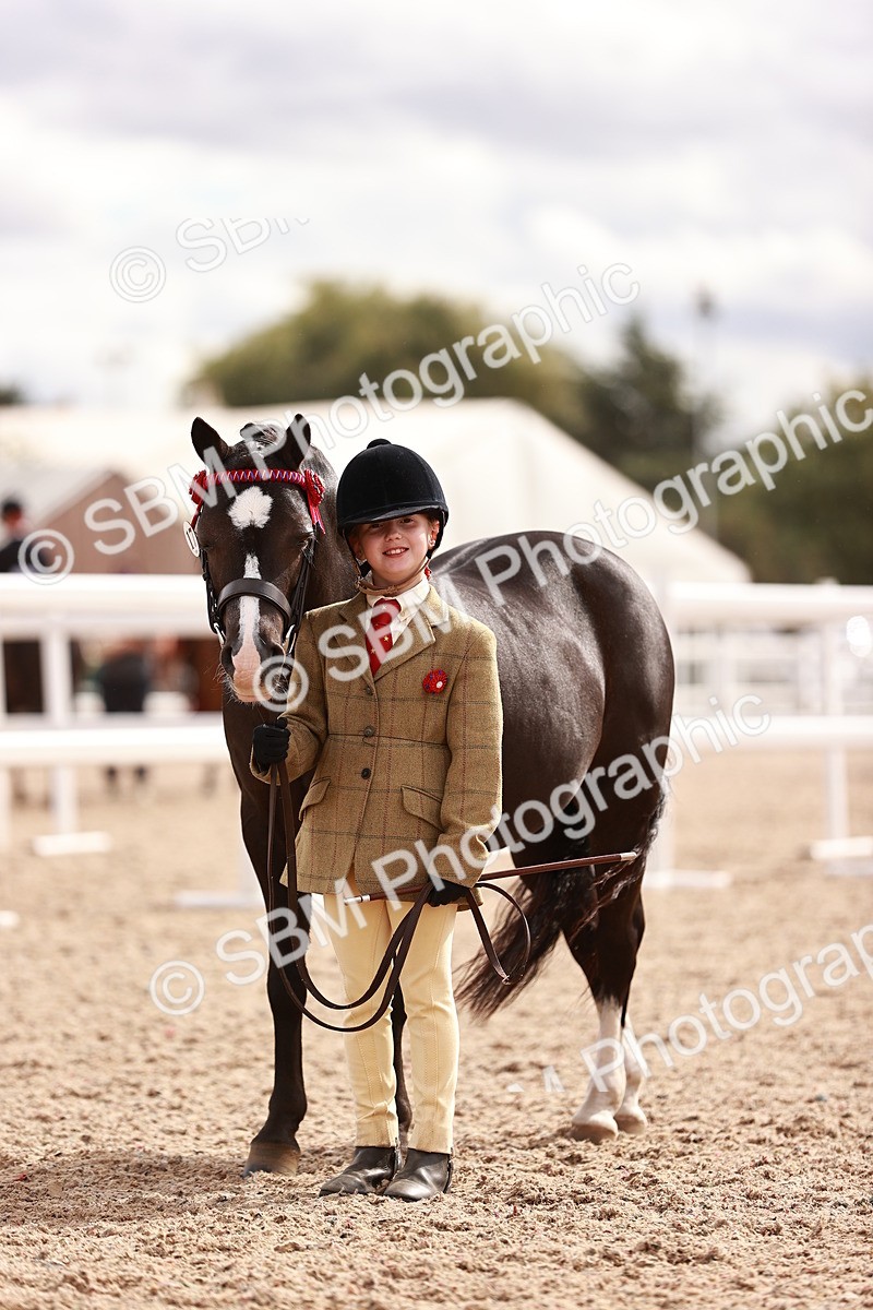 SBM_18388 - Class 418 - Best Condition - Jnr