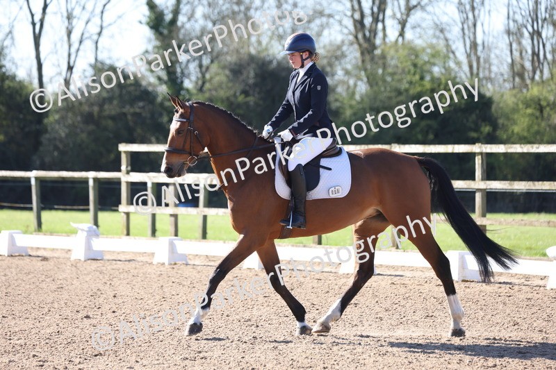 20260318-0099 - Class 2 - Intro 4