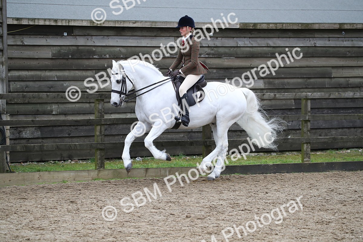 SBM_006391 - Class 10-13 - RIHS Small Large Breeds