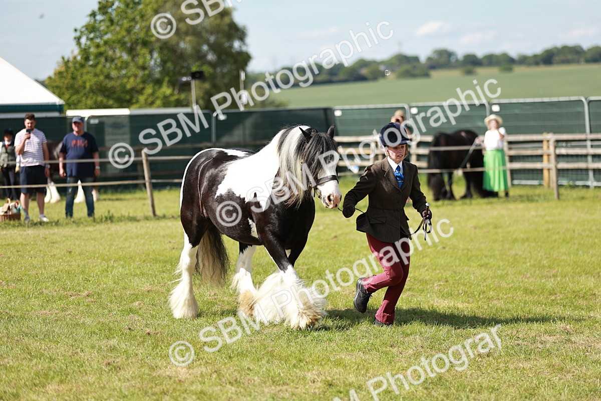 SBM_08829 - Class 63-65 - Traditional Gypsy Cobs In Hand & Ridden