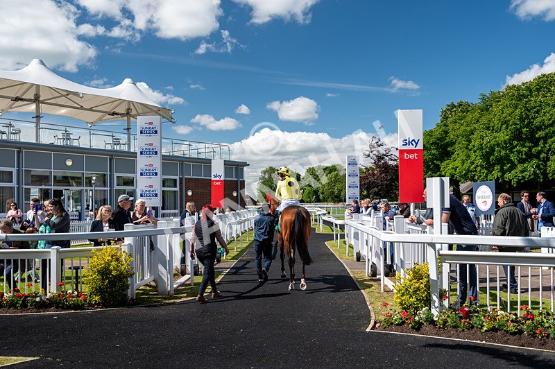 160624-Race 1-Alice Fairfax-5313 - Race 1