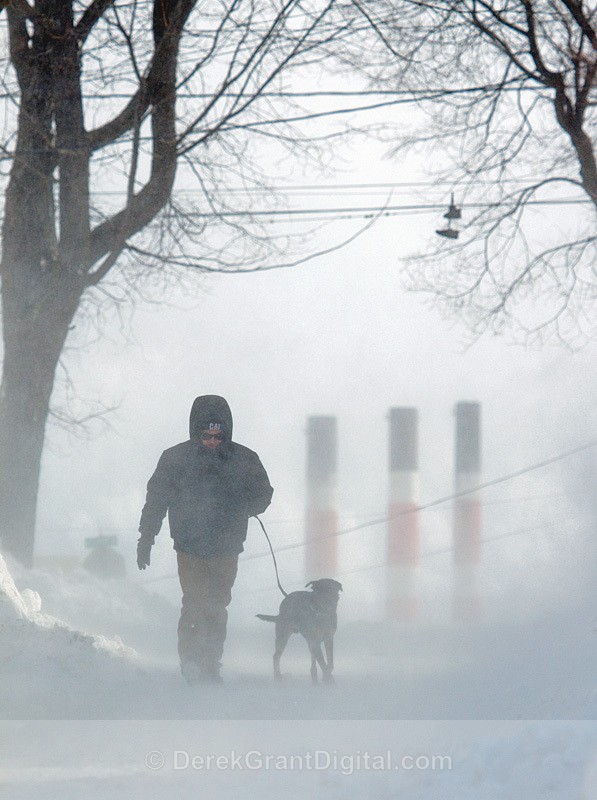 Storm Walker - Winterscape