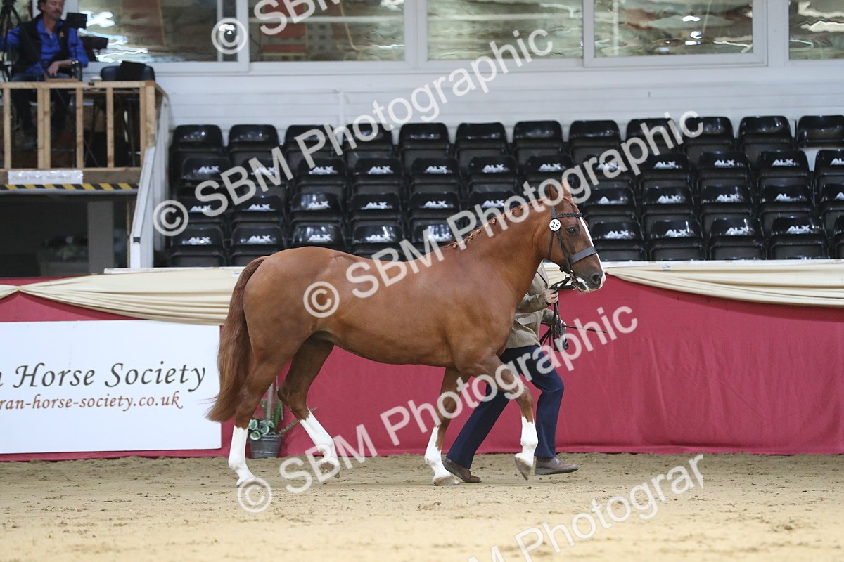 SBM_04341 - Class 7R Regional - IH Diamond