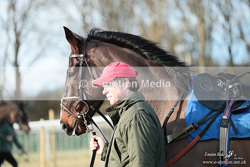 PtP 240126 690 - Cambridgeshire & Enfield Chase PtP Horseheath 24/01/26