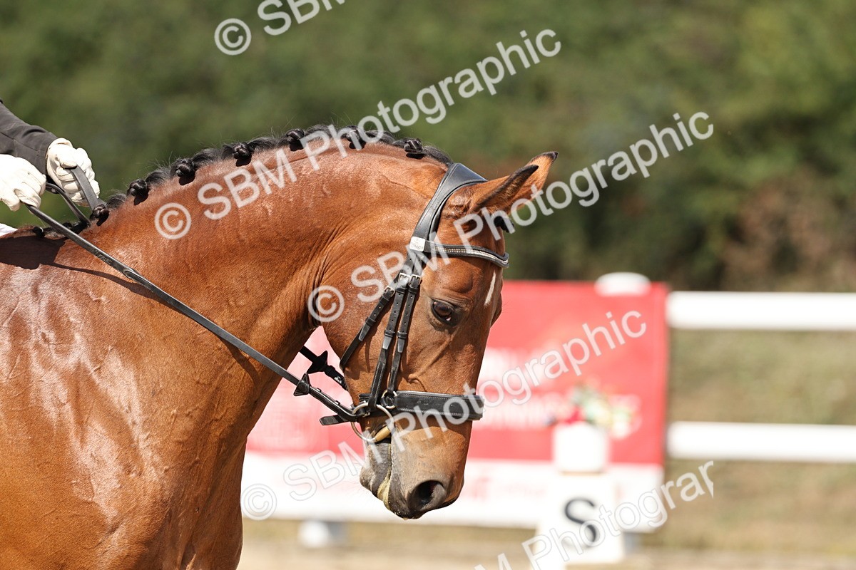 SBM_018709 - Class 16 - Novice 5 - 12.08-13.11