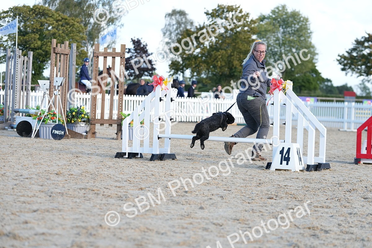 SBM_29015 - J43 - Horse & Hound Open 50cm