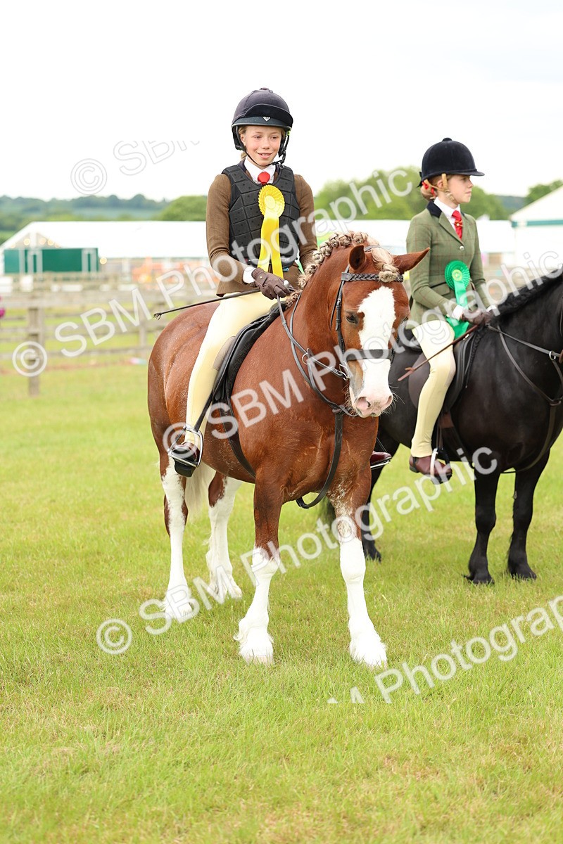 SBM_10410 - Class 44-45 - LIHS BSPS Open Nursery and Cradle Stakes
