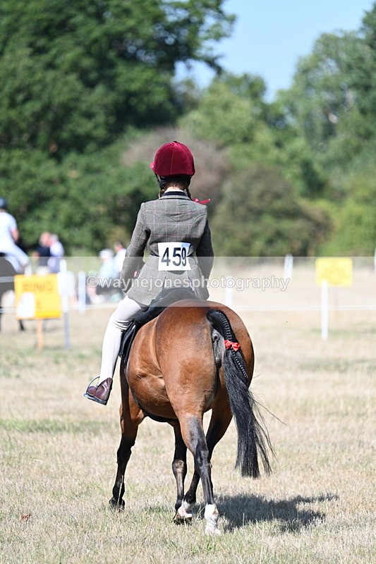 WJ7_4031 - Class 9 Mountain & Moorland Ridden
