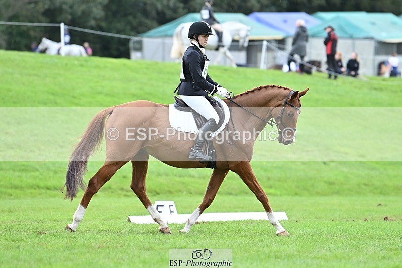 231020-152827-11485 - 686-MOORLAND.MAGIC-Charlotte.Chard-DR