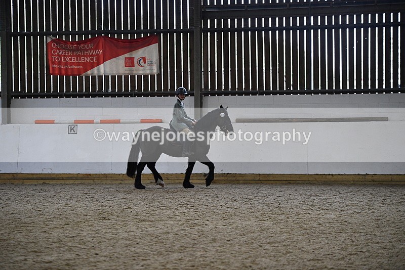 WJ5_7887 - Class 13 Ridden Part Breed