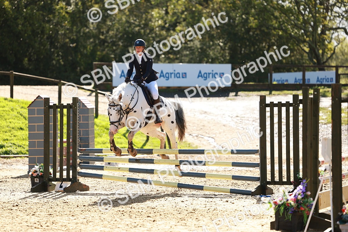 SBM_38012 - J39 - Senior Horse & Pony 85cm Championship