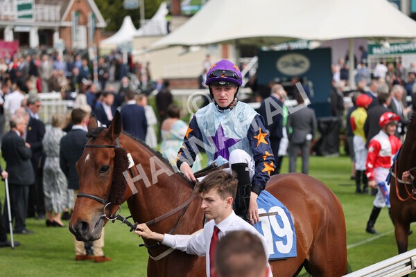 yr13052022r6-3 - Race 6 4.45pm Yorkshire Equine Practice Stakes