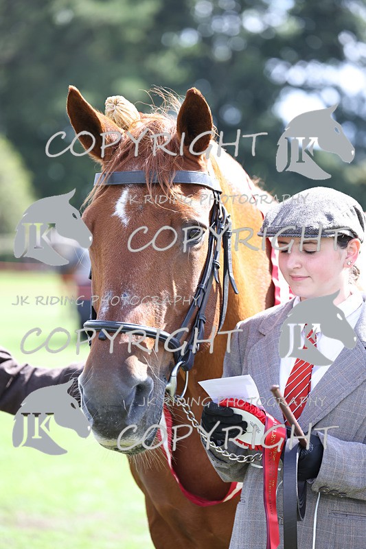 APP_3458 - Class 6 Young Handlers