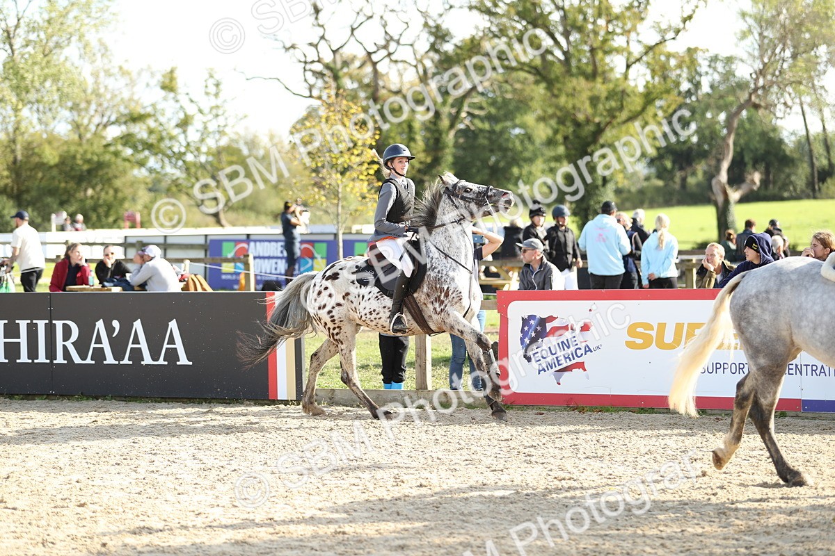 SBM_49693 - J22 - Junior Horse 65cm Championship
