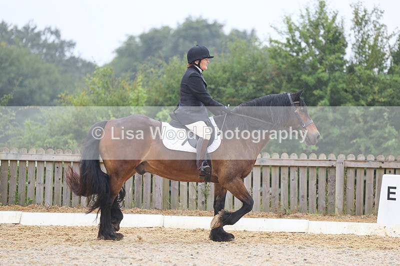 3E7A8460 - Class 2: Intro 3 2024 section B