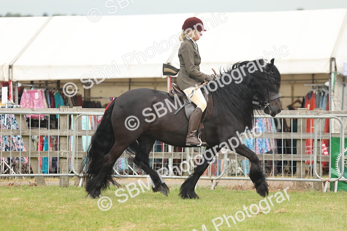 SBM_08915 - Class 78-80 - Ridden M&M Non Welsh Ponies